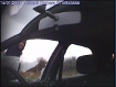 DVCOP